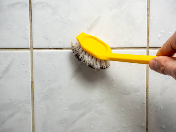Best Mold Removal Company Near Me  in Ellis, KS