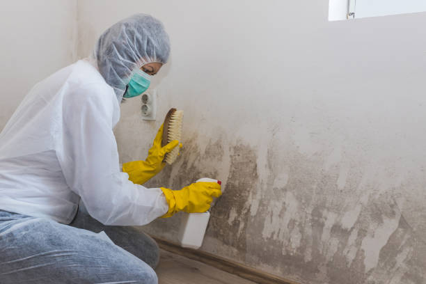 Best Water Damage Restoration  in Ellis, KS