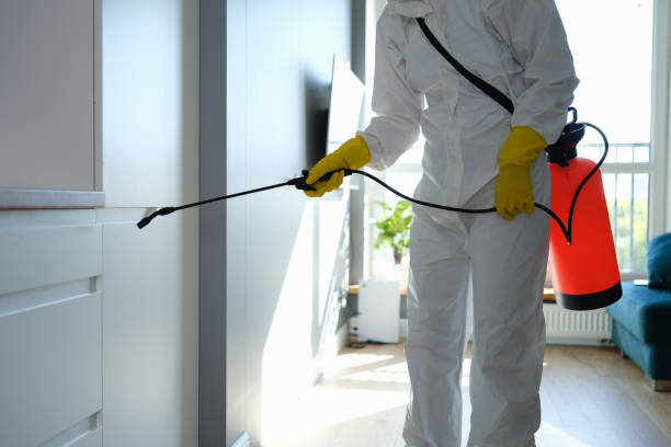 Best Crawl Space Mold Removal  in Ellis, KS