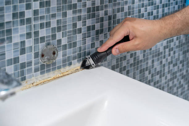 Reliable Ellis, KS Mold Removal Solutions