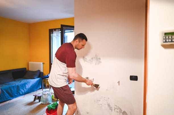 Best Attic Mold Removal  in Ellis, KS
